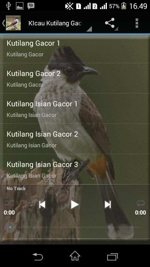 Master Burung Kutilang Gacor screenshot 3
