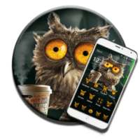 Owl theme Cute on 9Apps