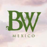 Beyond Wonderland Mexico 2017 on 9Apps