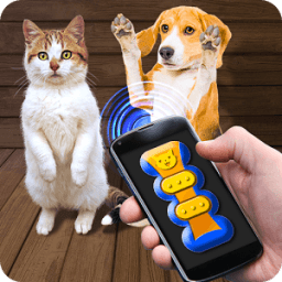 ikon Training Cat Dog Clicker Simulator