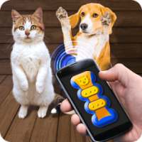Training Cat Dog Clicker Simulator