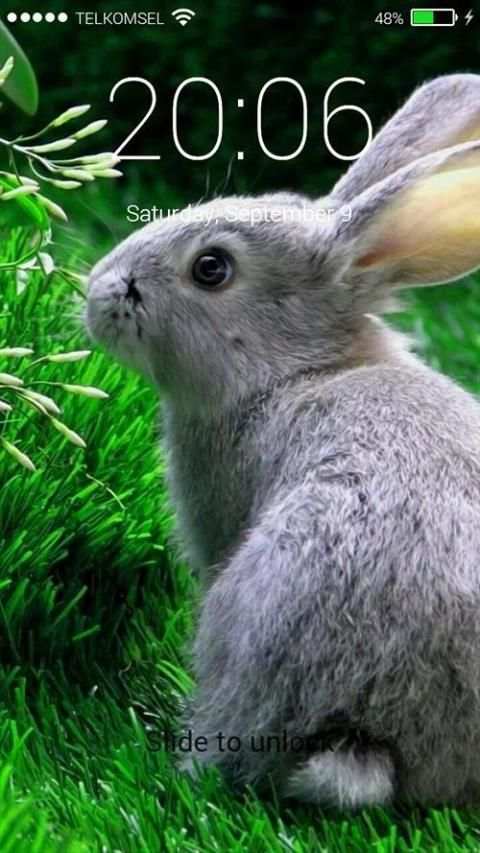 Rabbit Pop Lock Screen screenshot 3