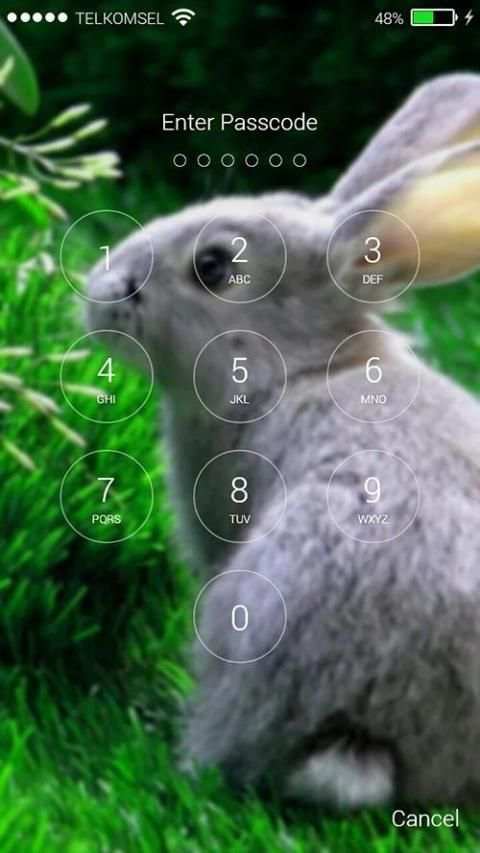 Rabbit Pop Lock Screen screenshot 5