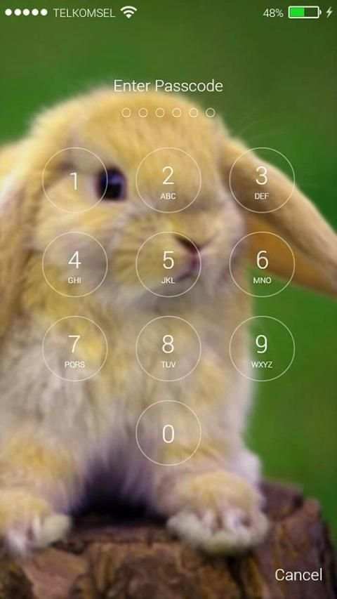 Rabbit Pop Lock Screen screenshot 6