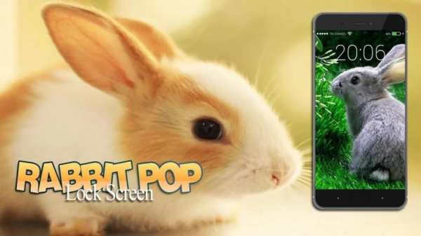 Rabbit Pop Lock Screen screenshot 4