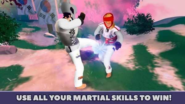 Taekwondo Fighting Tiger 3D screenshot 2
