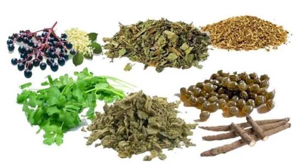 DR Sebi's Alkaline List स्क्रीनशॉट 1