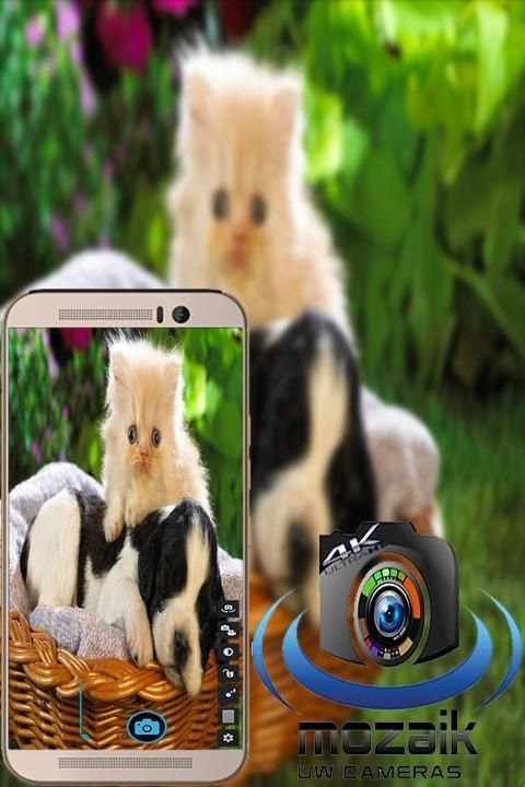Camera Mozaik screenshot 4