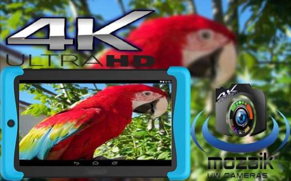 Camera Mozaik screenshot 1