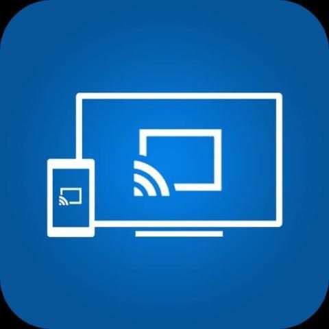 Screen Share one Assist скриншот 1