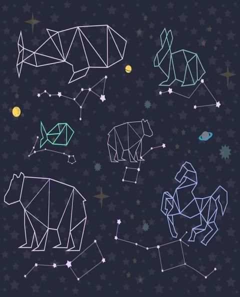 Free Stellarium Mobile Sky Map Guide скриншот 4
