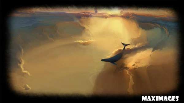 Whale Wallpaper स्क्रीनशॉट 2