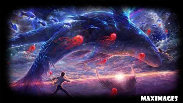 Whale Wallpaper स्क्रीनशॉट 3