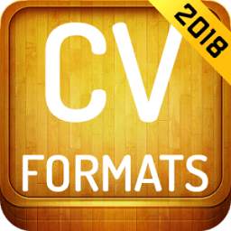 CV Formats 2018