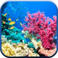 New HD UnderWater Wallpapers on 9Apps