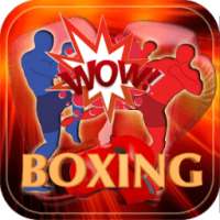 Бокс Fight Match App