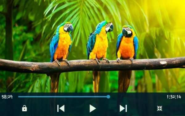 MX Player For 2018 स्क्रीनशॉट 8