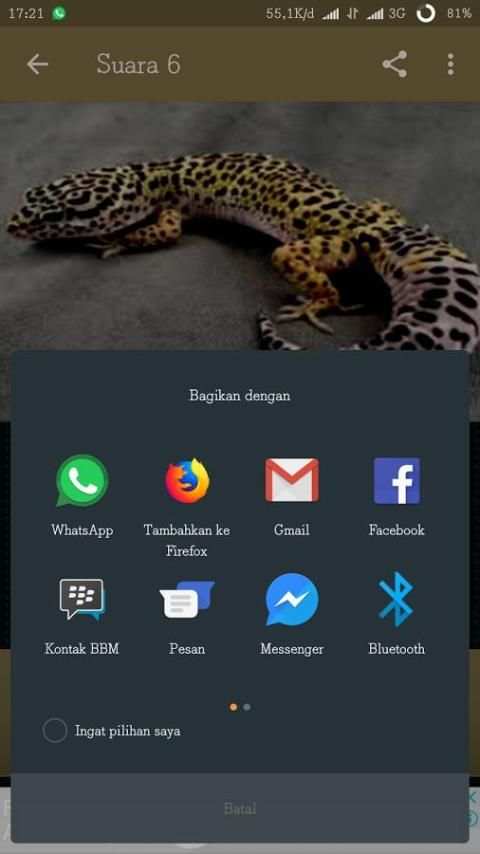 mp3 Suara Tokek 1 تصوير الشاشة