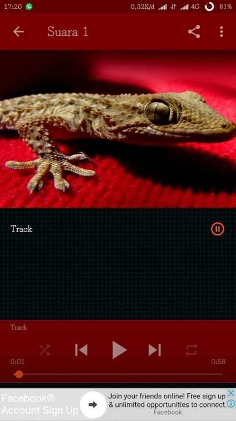 mp3 Suara Tokek 6 تصوير الشاشة