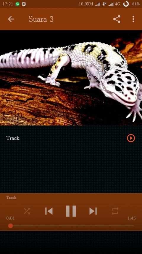 mp3 Suara Tokek 4 تصوير الشاشة