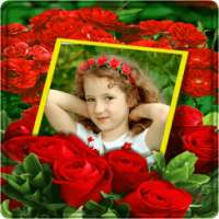 Rose Flower Photo Frames on 9Apps