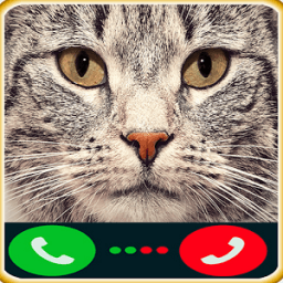 ikon Faux appel chat