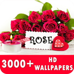 ikon Rose Live Wallpapers HD