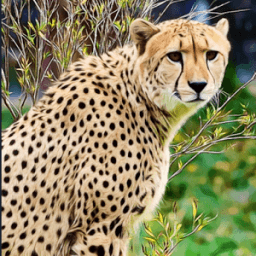 Cheetah Sim 3D - Wild Life Adventure Park icon