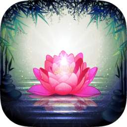 Free Guided Meditation