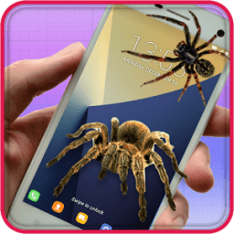 Spider On Screen Prank أيقونة