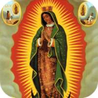 Tu custodia es Guadalupana
