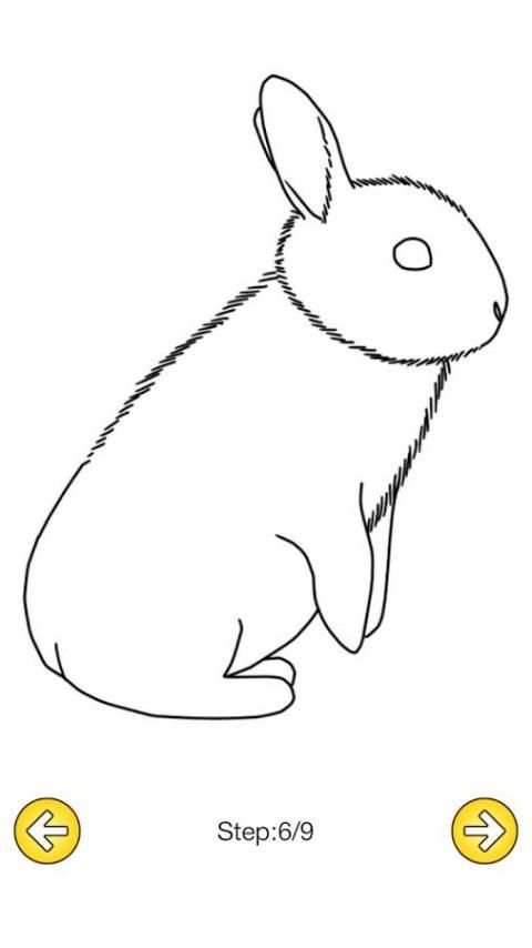 How To Draw Rabbit screenshot 1