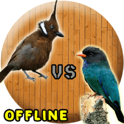 Cililin VS Tengkek Buto MP3 icon