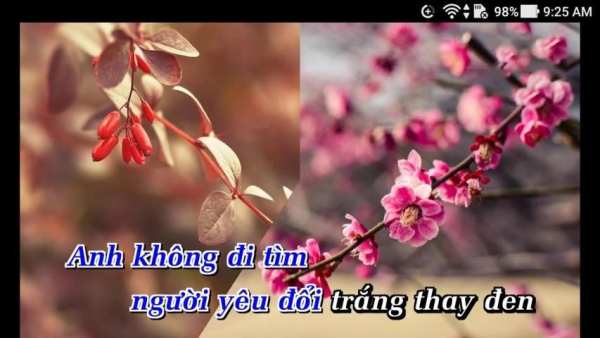 Karaoke Offline Ma so Karaoke * screenshot 6
