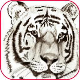 How to Draw Animal أيقونة