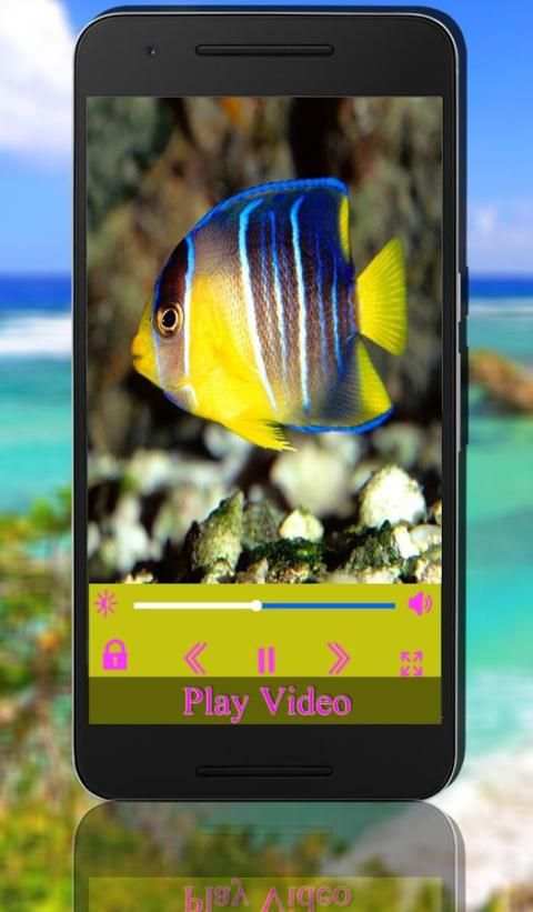 max HD Player скриншот 1