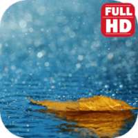 Free Rain Sleep Sounds Download. on 9Apps