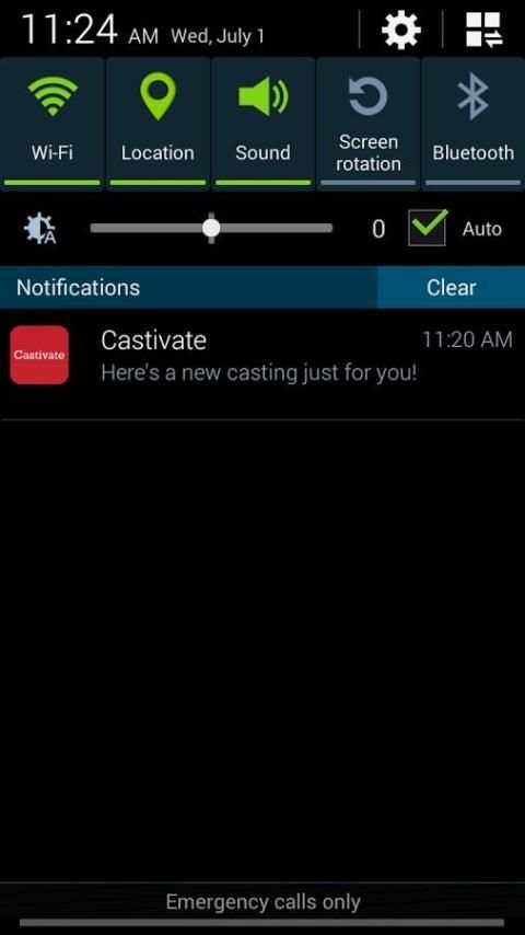 Castivate screenshot 7