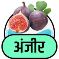 अंजीर के फायदे on 9Apps