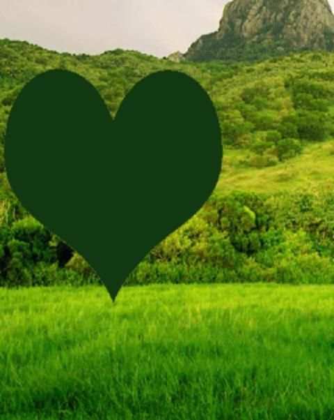Nature Photo Frames HD 9 تصوير الشاشة