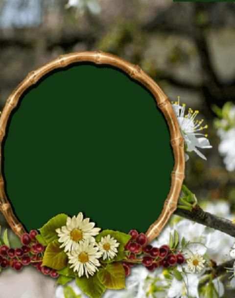 Nature Photo Frames HD 11 تصوير الشاشة