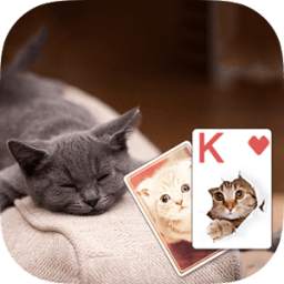 Solitaire Cute Cats Theme