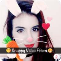 Snappy Face Video on 9Apps
