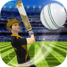 Cricket Multiplayer