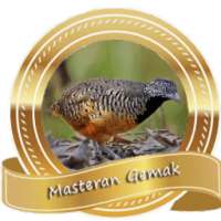 Masteran Burung Gemak on 9Apps