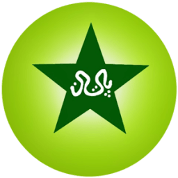 Pakistan Cricket Scores أيقونة