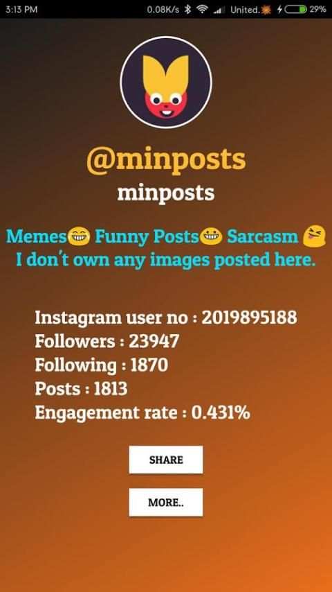 Profile Report For Instagram screenshot 2