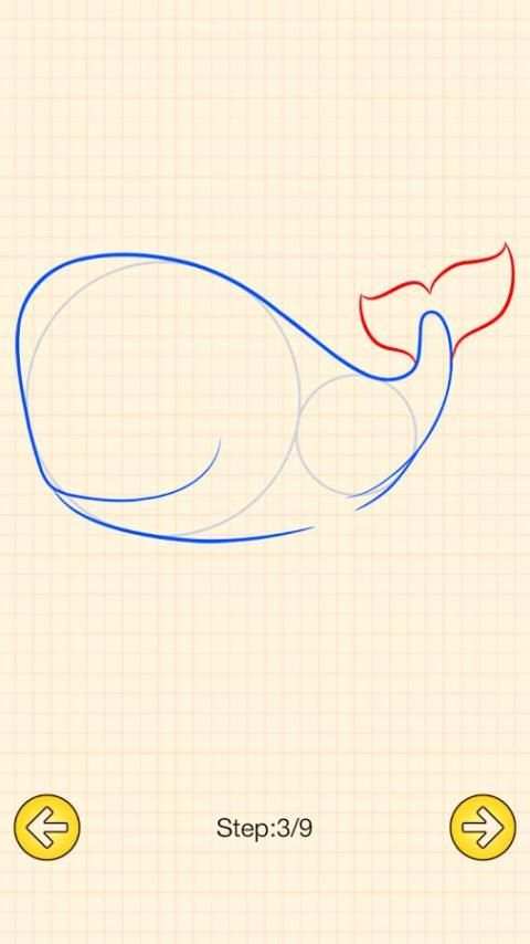 How To Draw Sea Animals 3 تصوير الشاشة