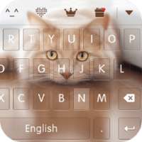keyboard - Boto : Cute Kitty on 9Apps