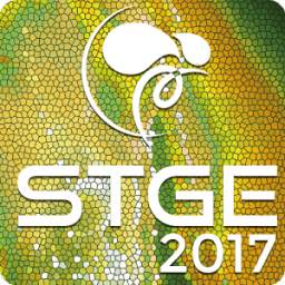 STGE 2017